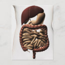 Search for digestion postcards Duodenum