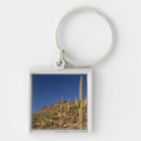 Search for tucson key rings Cactus
