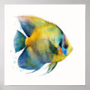 Search for angelfish art Sea