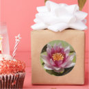 Search for pad stickers Floral