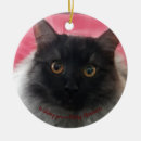 Search for ragdoll cat christmas tree decorations Cute