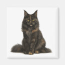 Search for maine coon cat gifts Long haired cat