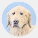 Search for golden retriever round stickers Puppy
