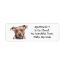 Search for bull terrier dog return address labels Cute