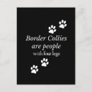 Search for border collies postcards Animals