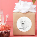 Search for maltese dog stickers Pet