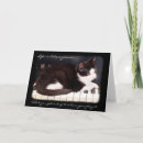 Search for cat piano cards Kitten