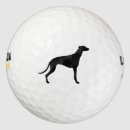 Search for greyhound golf equipment Dog