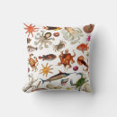 Search for sea life cushions Boat
