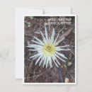Search for flora note cards Nature