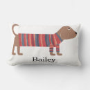 Search for dachshund cushions Animals