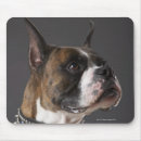 Search for animal collar mousepads Dog