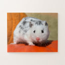 Search for hamster puzzles Cute