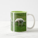 Search for white ravens mugs Crow