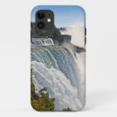 Search for niagara electronics Landscape