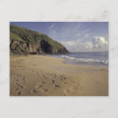 Search for st kitts postcards Coast