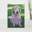 Search for golden retriever birthday cards Funny