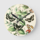 Search for flower clocks Butterflies