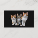 Search for outside business cards Cat
