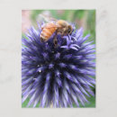 Search for nectar postcards Summer
