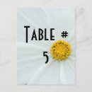 Search for guest postcards Flowers