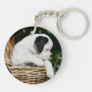 Search for boxer key rings Canine photographer