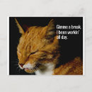 Search for tired postcards Funny