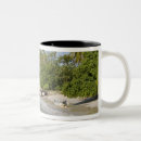 Search for caribbean coffee mugs Palm