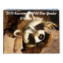 Search for raccoon calendars Wildlife
