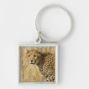 Search for jaguar animal key rings Nature