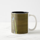 Search for damselfly mugs Nature