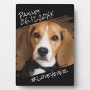 Search for simple plaques Cool