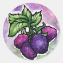 Search for cute raspberry stickers Raspberries