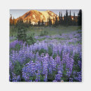 Search for alpine meadow magnets Washington