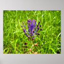 Search for tassels posters Blue