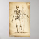 Search for human skeleton posters Illustration