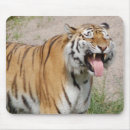 Search for cheesing mousepads Animal