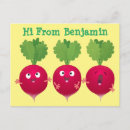 Search for radish postcards Cute