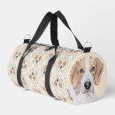 Search for foxhound bags Dog