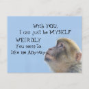 Search for monkey pictures postcards Funny