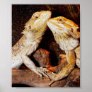 Search for herp posters Pets