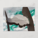 Search for matt postcards Sky