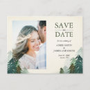 Search for pine tree save the dates Forest