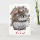 Search for squirrels cards Wildlife