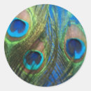 Search for peacock eye stickers Blue