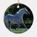 Search for thoroughbred horse christmas tree decorations Running