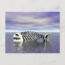 Search for animal skeletons postcards Bones