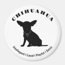Search for loyal magnets Dog