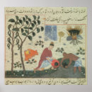 Search for pepper tree Spice