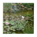 Search for ponds tiles Water